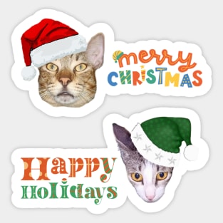 Merry Christmas Happy Holidays Cats In Green And Red Hats Sticker